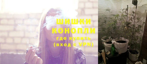 spice Арсеньев