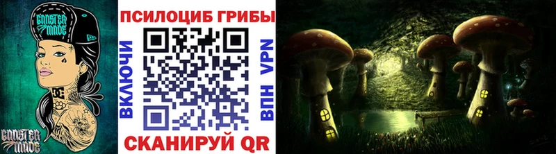 где найти наркотики  Прохладный  Псилоцибиновые грибы Magic Shrooms 